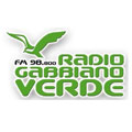 logo Radio Gabbiano Verde