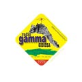logo Radio Gamma Gioiosa
