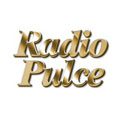 logo Radio Pulce